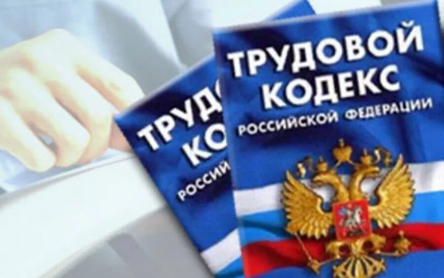 гарантии беременным женщинам на работе по трудовому кодексу (70) фото