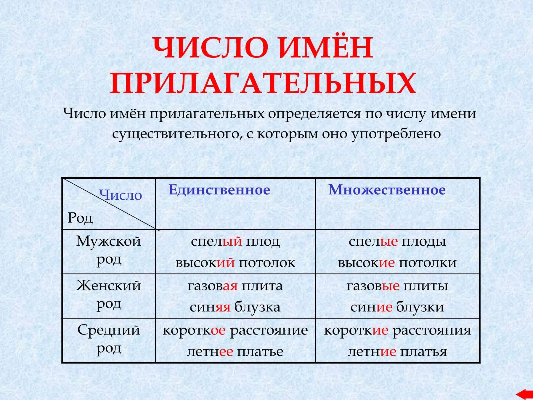 Различие существительных и прилагательных. Изучение рода и числа имен прилагательных. Форма числа имен прилагательных 4 класс. Как определить число имен прилагательных 2 класс. Род ИИ число имен прилагательных.