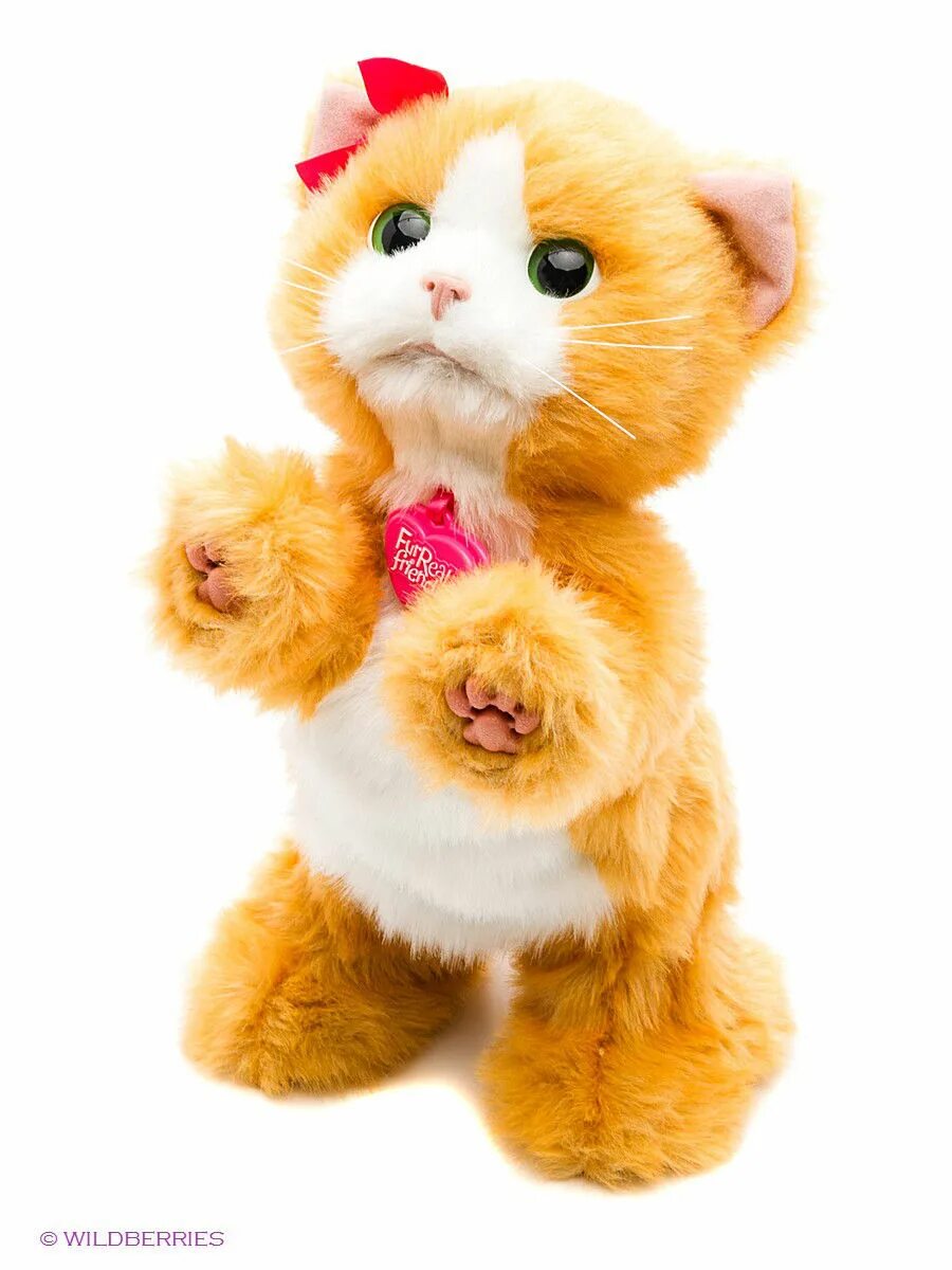 Где купить игрушку кот. Котенок игривый Дэйзи Hasbro a2003. Hasbro FURREAL friends a2003 Дэйзи игривый котенок. Hasbro FURREAL Daisy. Фурреал игрушки Дейзи котенок.