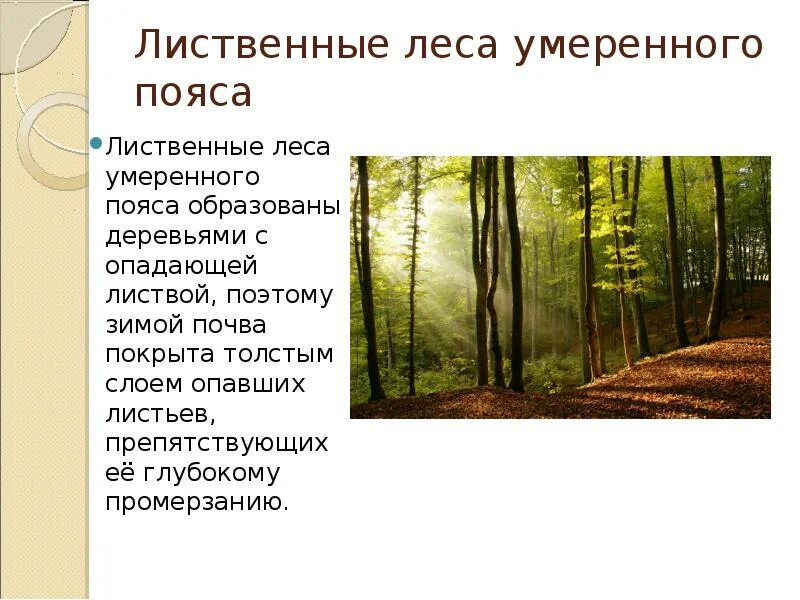 Погода в лиственном