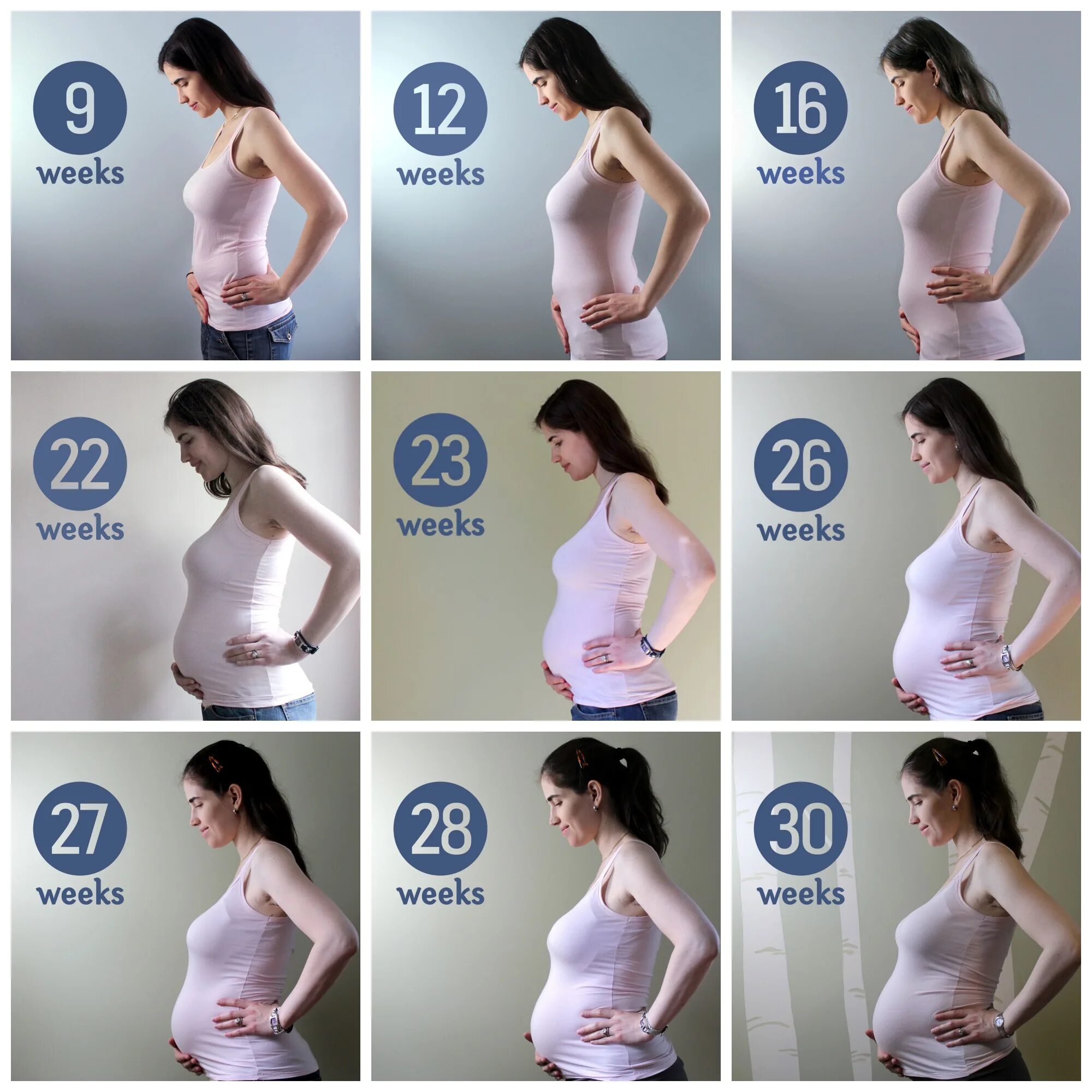 На какой неделе беременности растет живот. Живот беременной по неделям. Живот беременной поинеделям. Беременность по неделям. Живот по месяцам.