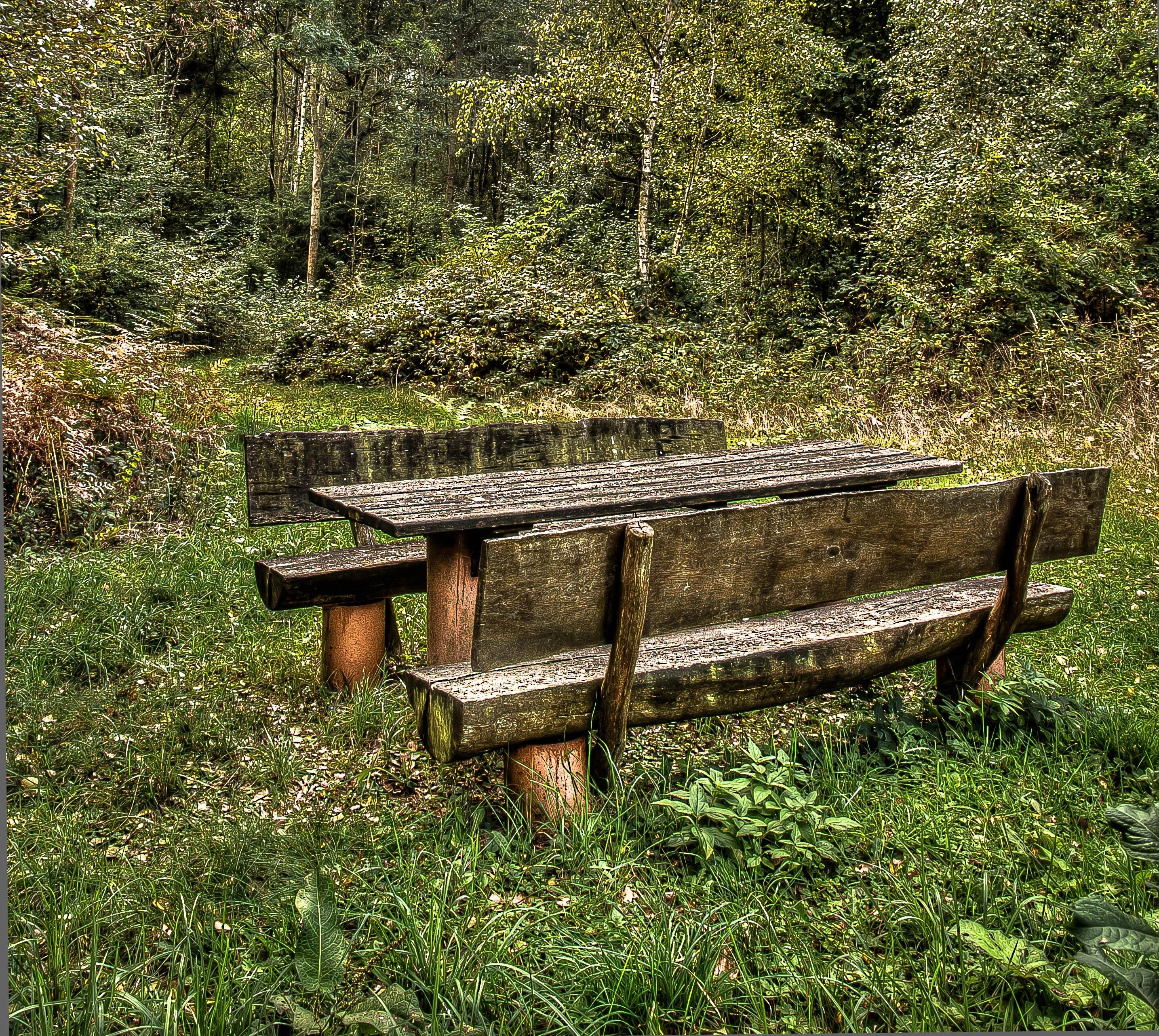 Forest rest