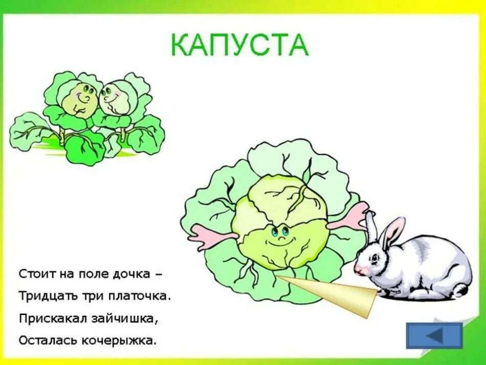 Загадка в стихах 6. Загадка про капусту. Стих про капусту. Загадка про капусту для детей. Детские загадки про капусту.