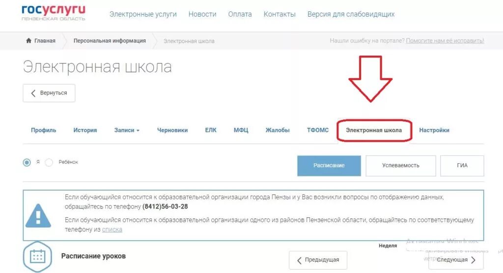 Госуслуги личный электронный дневник. Зайти в электронный журнал через госуслуги. Как зайти в электронный дневник через госуслуги. Госуслуги Пензенской области электронный. Электронный дневник пензенская область личный кабинет