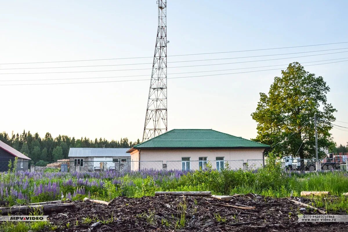 Боровенка окуловский. Поселок боровенка. боровёнка новгородская область. деревня боровенка новгородская область.