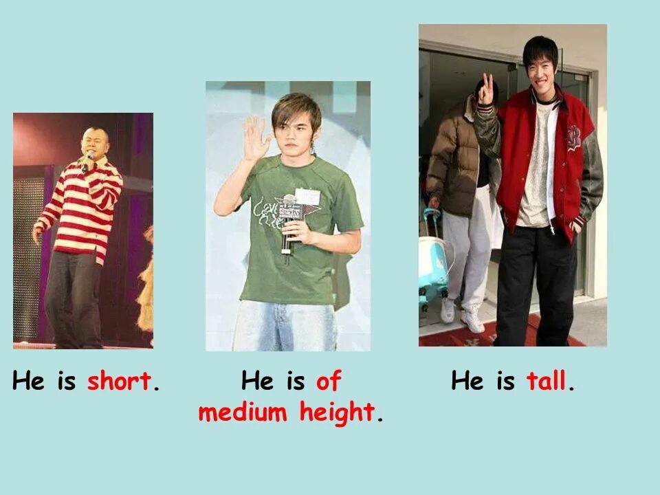 Medium height. Tall short Medium height. Tall height. Height short of Medium height.