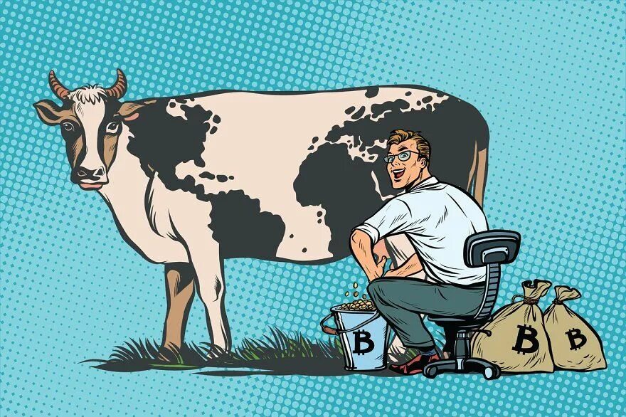 Now cow