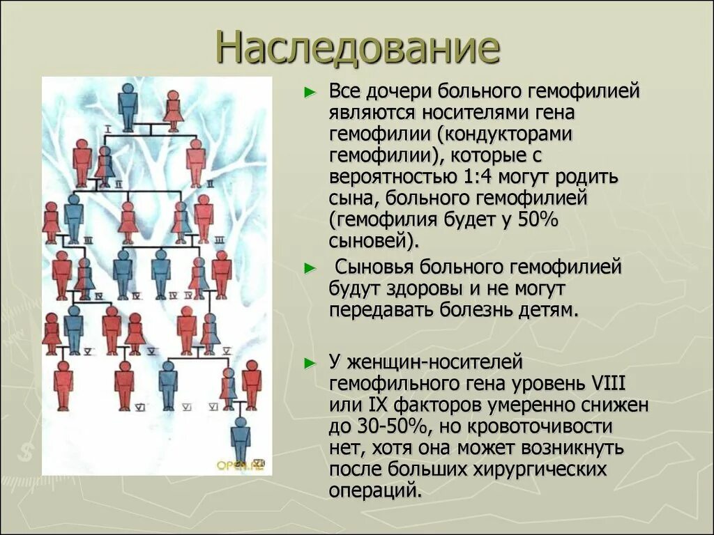 Наследование гемофилии. Схема наследования гемофилии. Гемофилия наследственность. Схема наследования гемофилии у человека. У матери не являющиеся носителями гемофилии