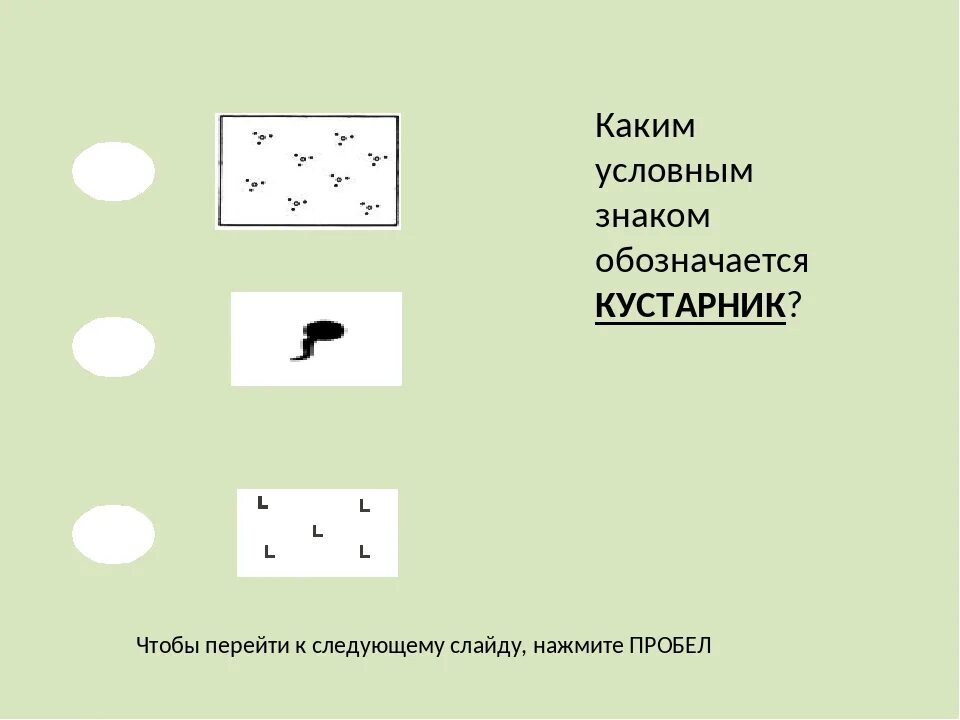 Условный знак означает. Куст условный знак. Условные обозначения кустарников. Топографическое обозначение кустарника. Кустарники на топографической карте.