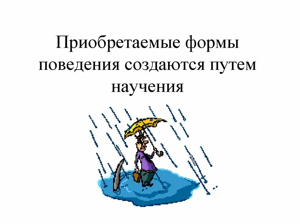 Приобретенные формы поведения человека. Приобретенные формы поведения. Приобретенные формы поведения биология. Преобретённые формы поведения. Врожденные и приобретенные формы поведения.