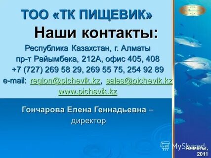 Республика контакты
