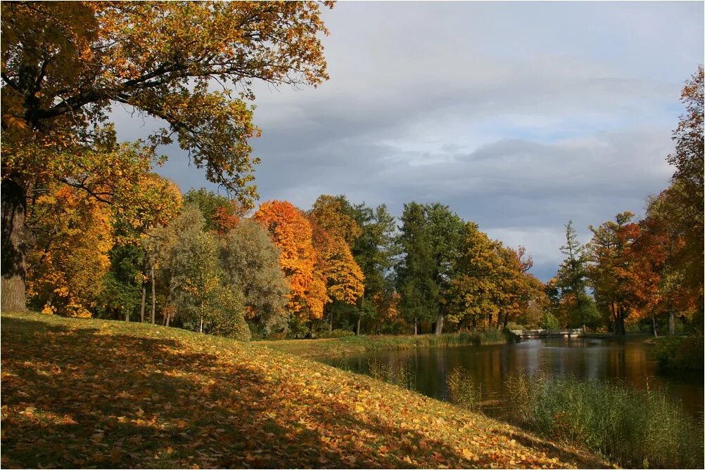 Ранняя осень. Сентябрь природа. Осень сентябрь. Ранняя осень сентябрь.