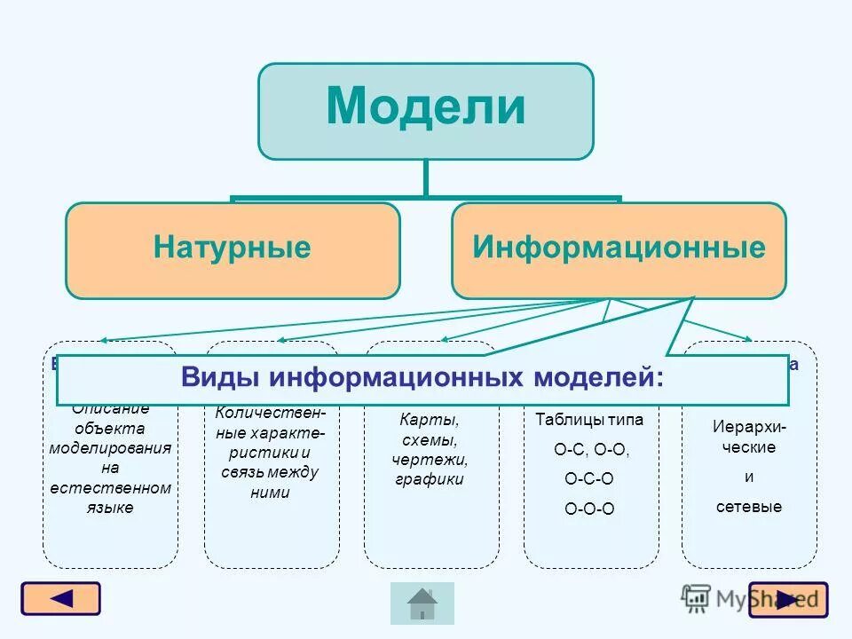 Укажи информацию модели. Виды информационных моделей. Виды моделей в информатике. Виды моделей в моделировании. Виды информационных моделей схема.