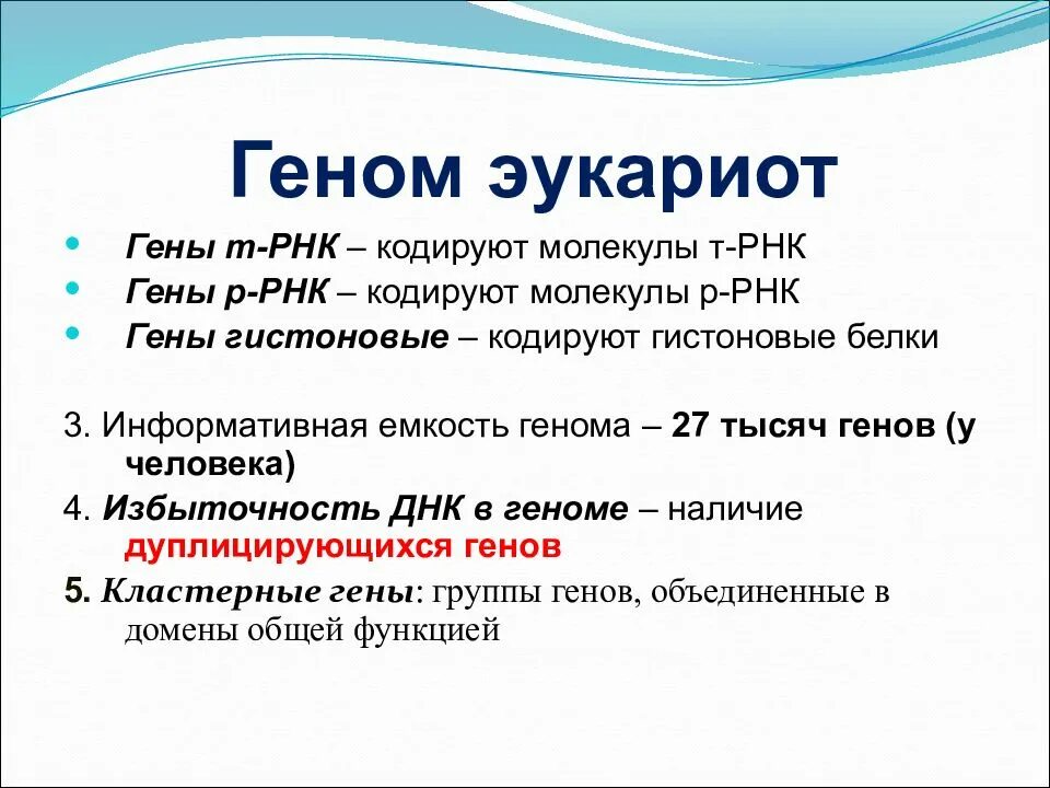 Классификация структурной организации днк эукариот. Геном эукариот. характеристика генома эукариот. структура генома эукариот. организация генома прокариот.