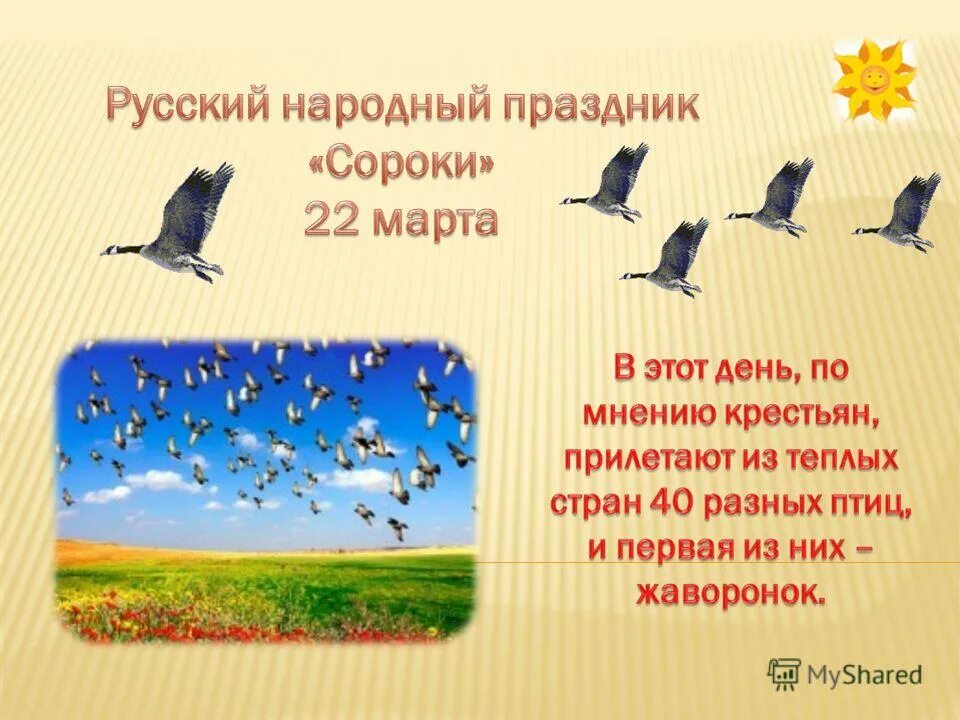 Картинки с праздником сороки 22