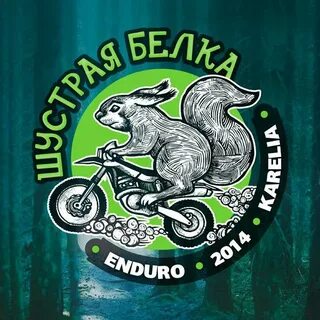 Шустрая белка