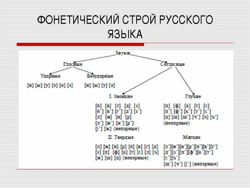 Порядок фонетического разбора слова. Фонетический разбор схема фонетического. Порядок звукового разбора слова. Порядок фонетического разбора схема.