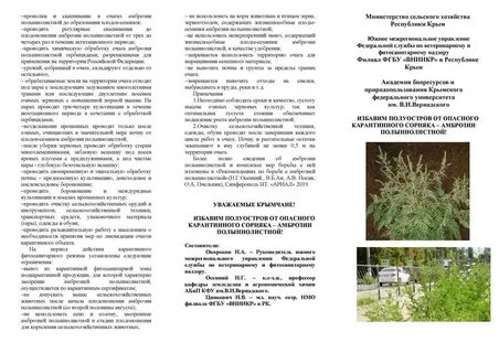 Амброзия полыннолистная описание