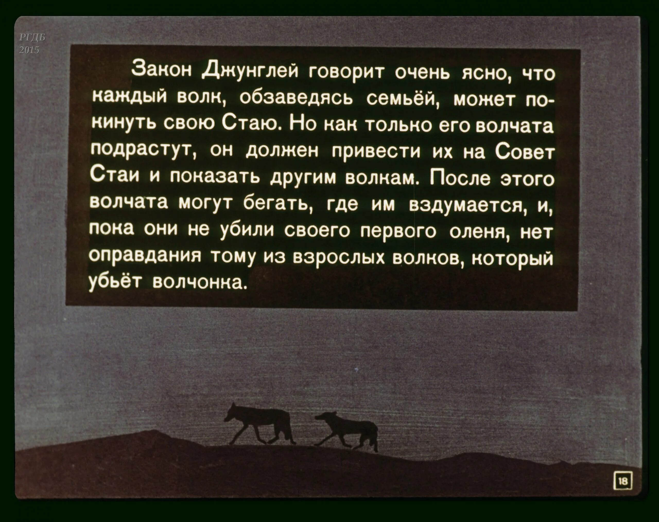 Закон джунглей книга 8. Закон джунглей. Законы джунглей Маугли. Законы джунглей из книги Маугли. Закон джунглей гласит из книги джунглей.