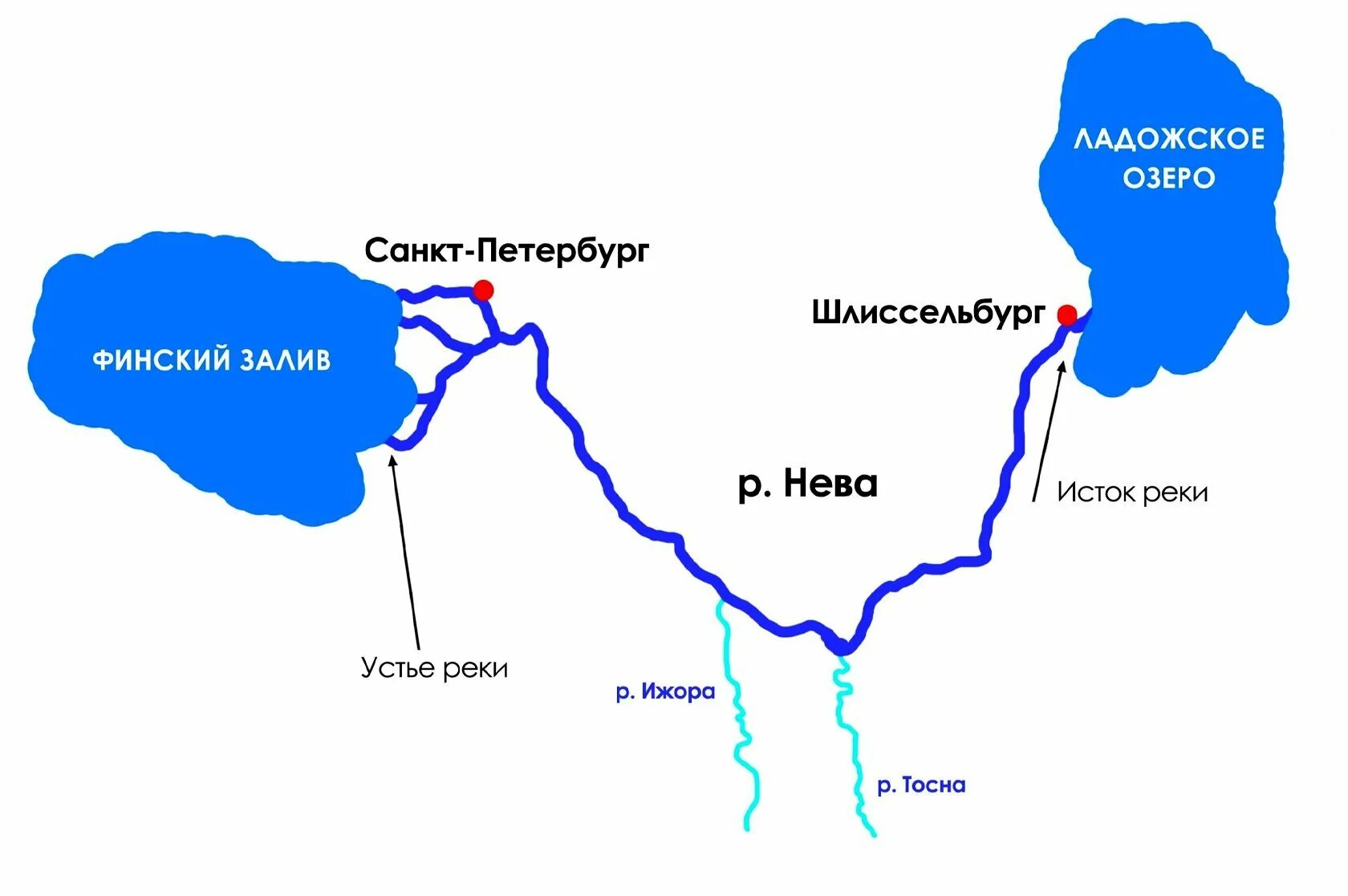 Показать карту реки невы. Бассейн реки Нева. Схема реки Невы Исток. Река Нева Исток и Устье на карте. Река Нева в Санкт-Петербурге схема.