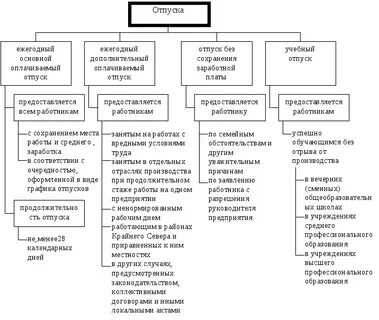 Специальные отпуска