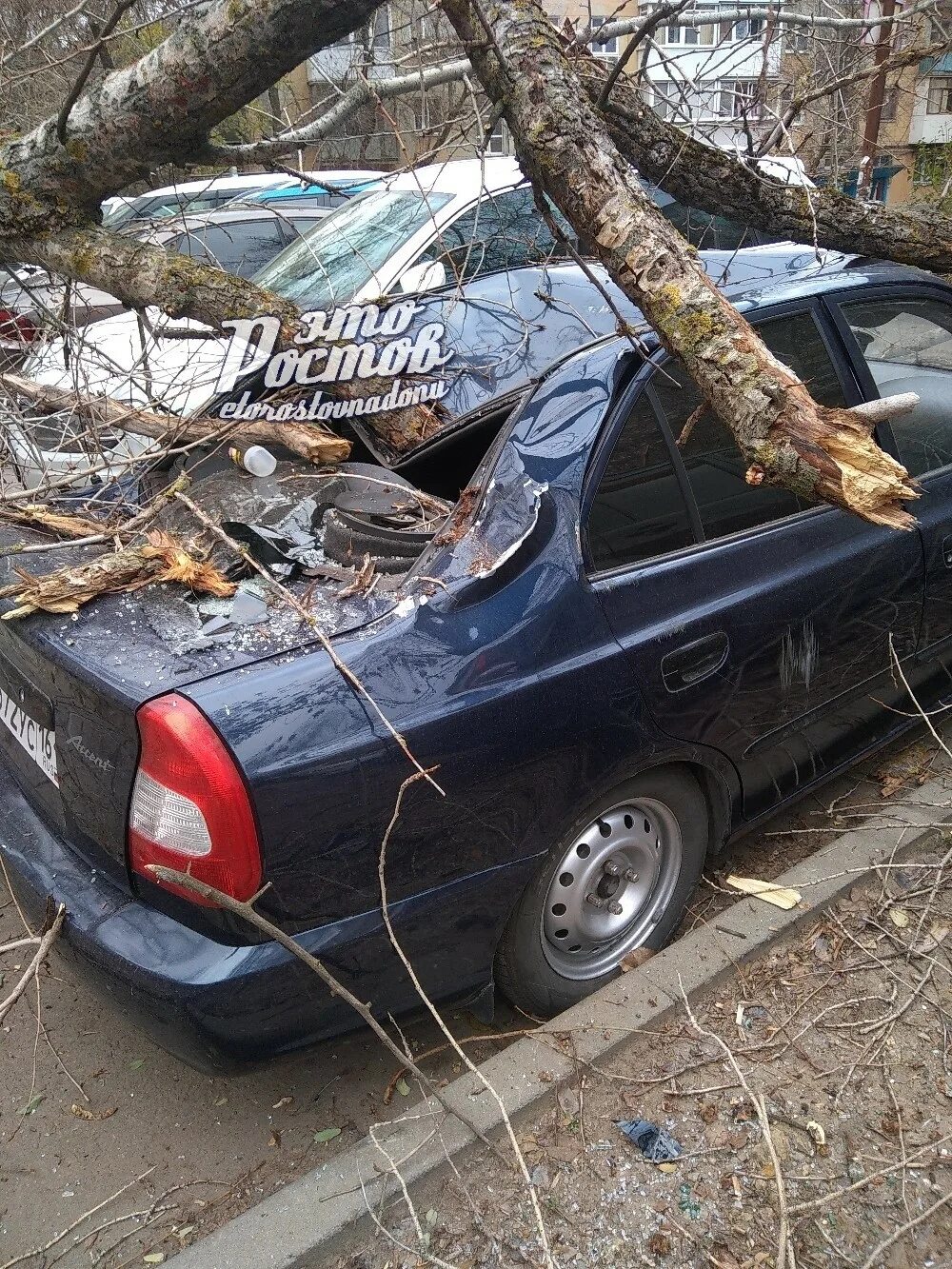 В ростове упало дерево на машину. Улица с деревьями. Упавшее дерево. Припаркованная машина. Дерево упало на машину 28.
