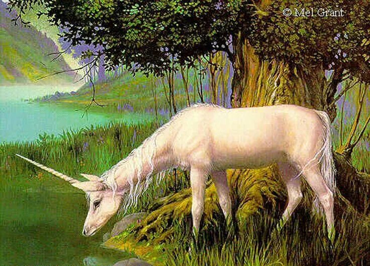 unicorn drinking water outta lake Animals, Art photography, Unicorn