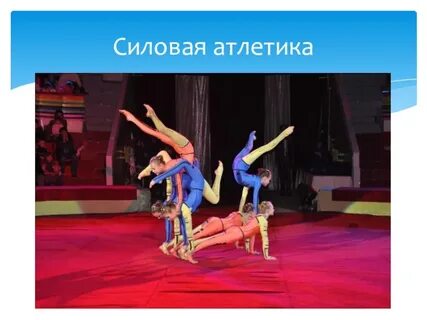 Помощь циркам