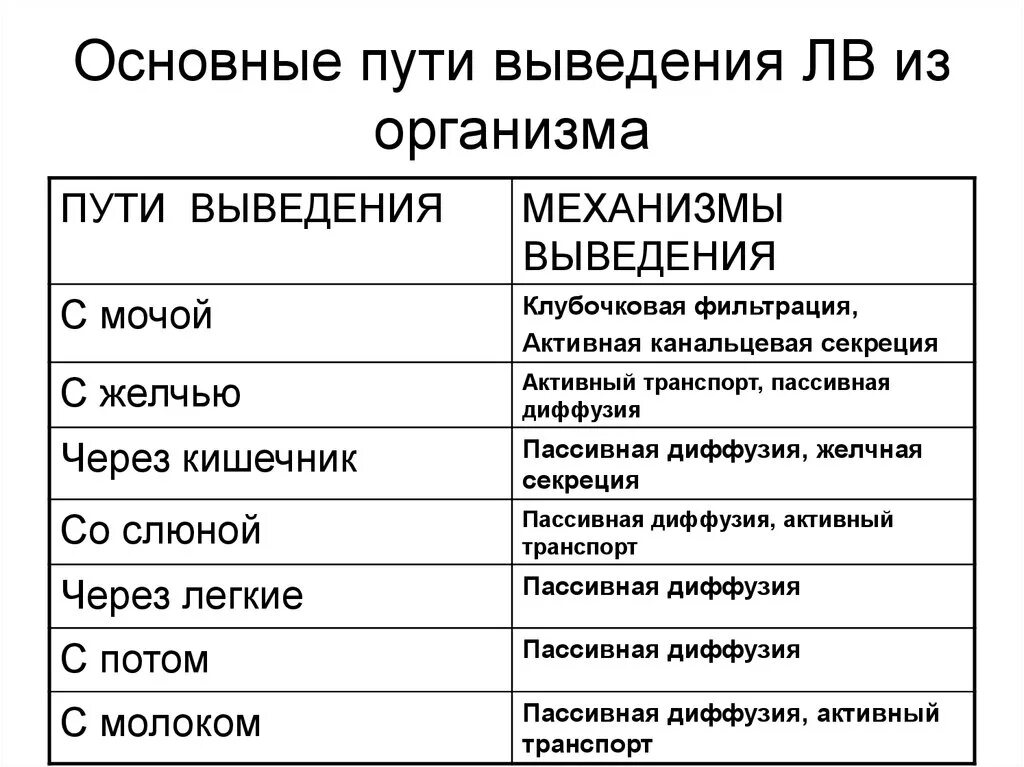 Основной путь выведения из организма