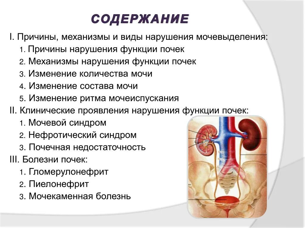 Механизмы расстройств мочевыделения внепочечные и почечные. Причины нарушения мочевыделения. Причины и механизмы расстройств мочевыделения. Причины нарушения функции почек. Основные причины нарушения мочевыделения