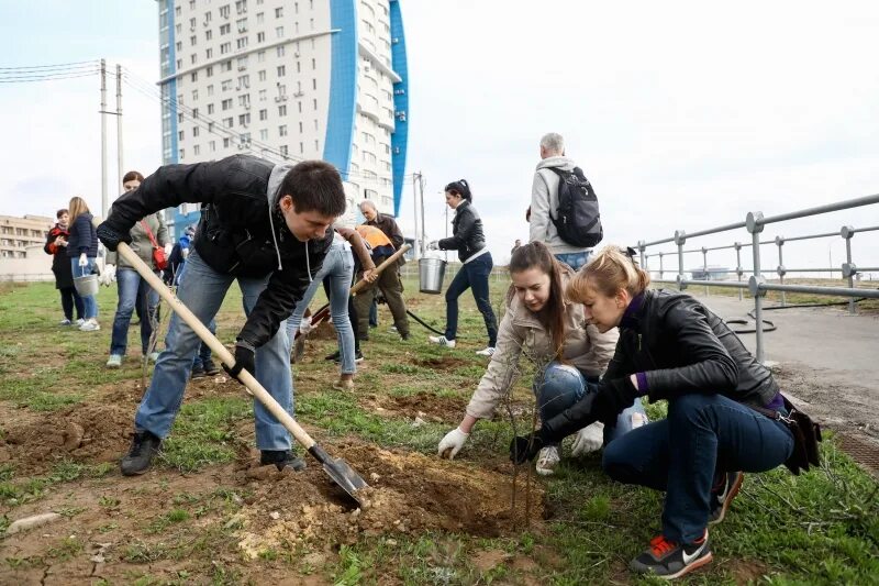 Пресс релиз субботник. Субботник. Люди на субботнике. Субботник Волгоград. Школьники на субботнике.