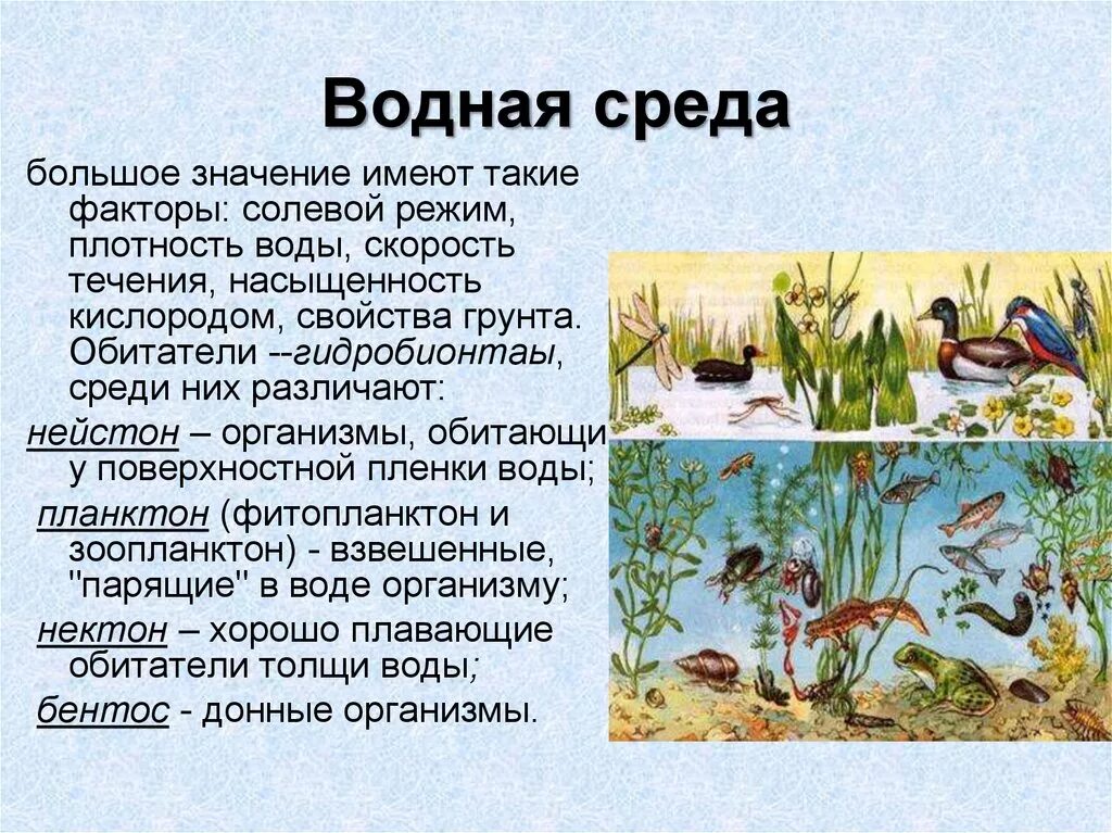 Количество воды в средах обитания. Водная среда биология 5 класс. Обитатели водной среды обитания. Организмы обитающие в водной среде. Обитателив однйос Реды.