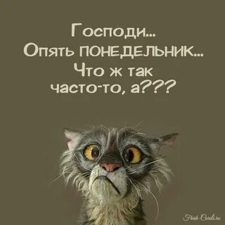 Доброе утро с юморными надписями