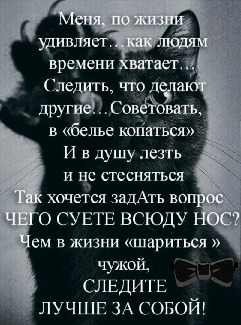 Мне правда нужна потому и лезу. Не лезьте в мою жизнь цитаты. Лезть в чужую жизнь цитаты. Высказывания про людей которые лезут в чужую. Статусы про людей которые лезут в чужую.