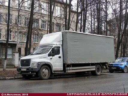 Луидор 3010gd