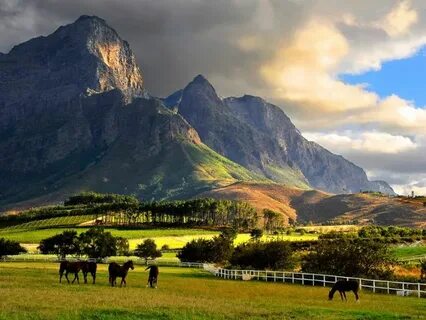 Mountain s