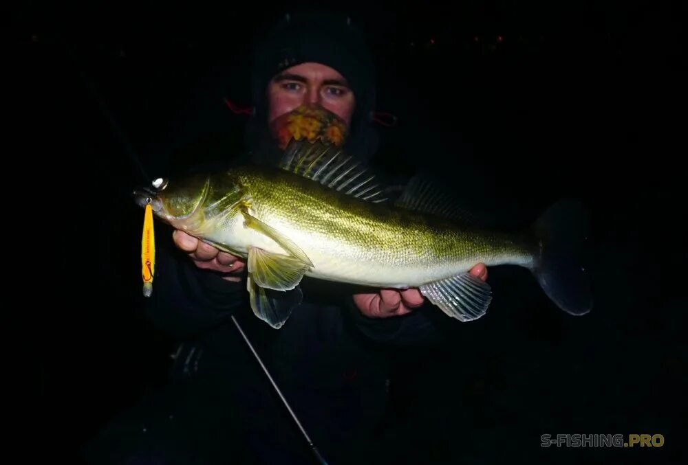 Спиннингист с огромным судаком. Москва судак на машине. Москва судак. Судак указатель. Зимняя судак чуланов.