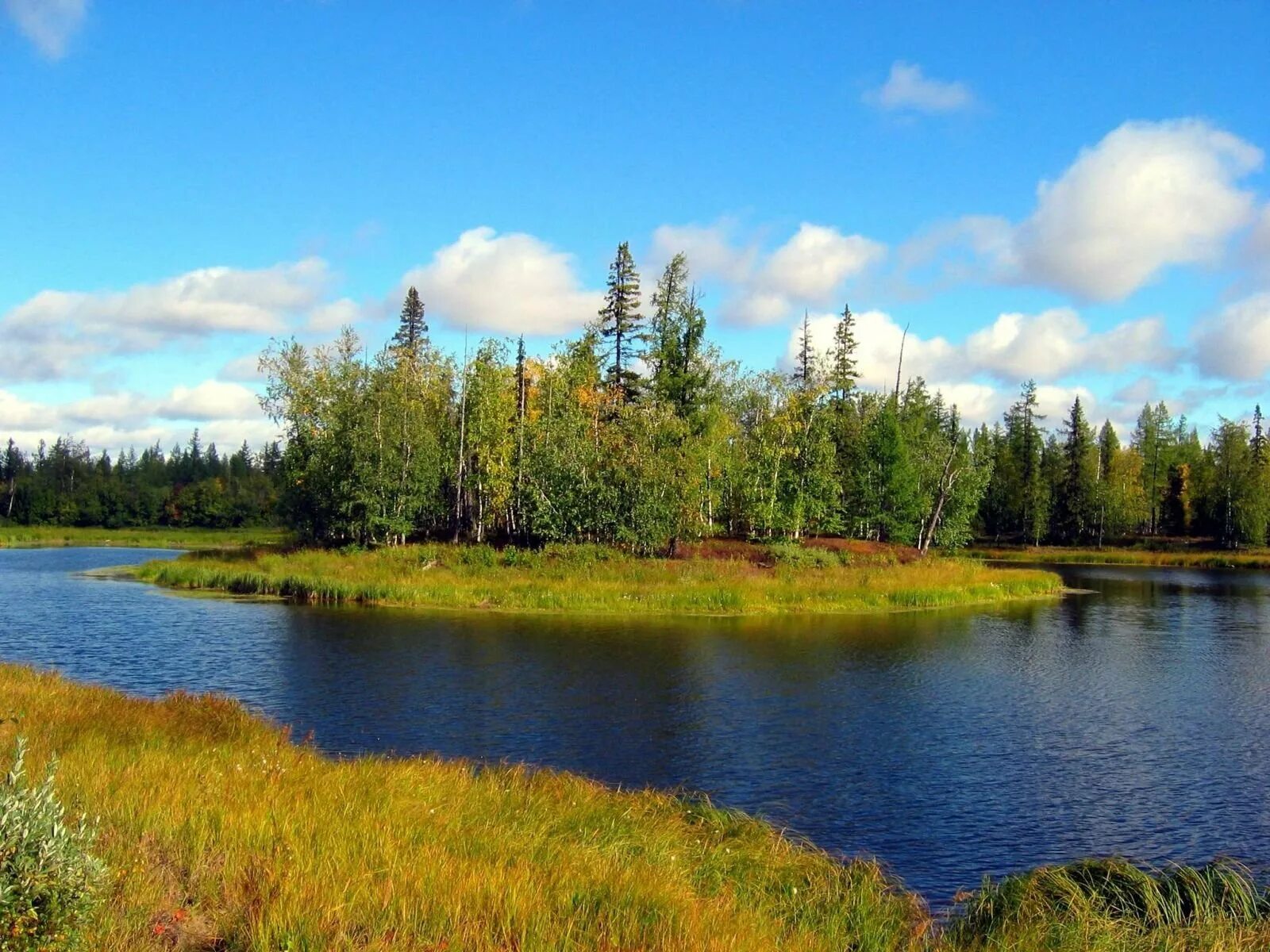 Ханты манси народность. Сибирская тайга хмао сверху. Природа надымского района янао. Югра ямало ненецкий. Народы севера ханты и манси.