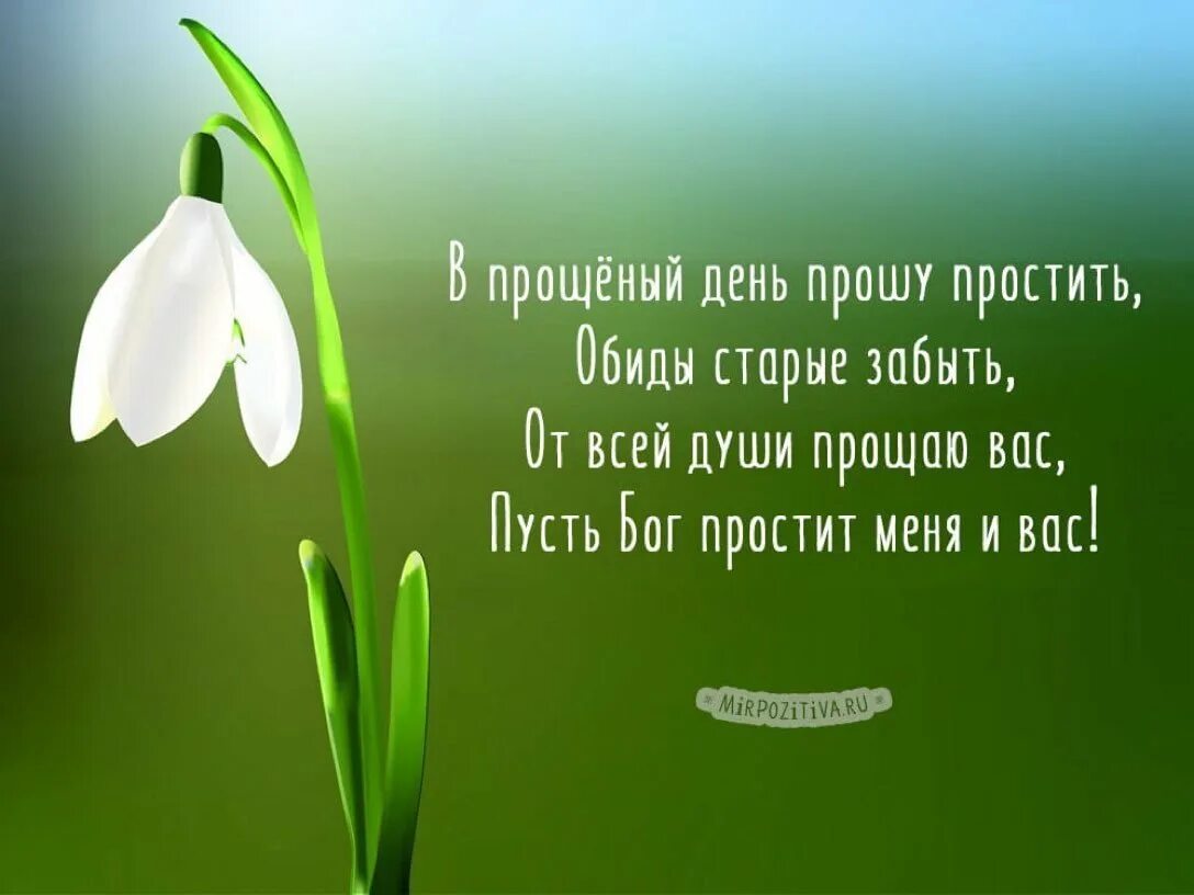 Попросить прощения у коллег. С прощенным воскресеньем. Поздравления с пращённым воскресенье. Открытки с с прщоным Воскресение.. С полщеннвм воскресенье.