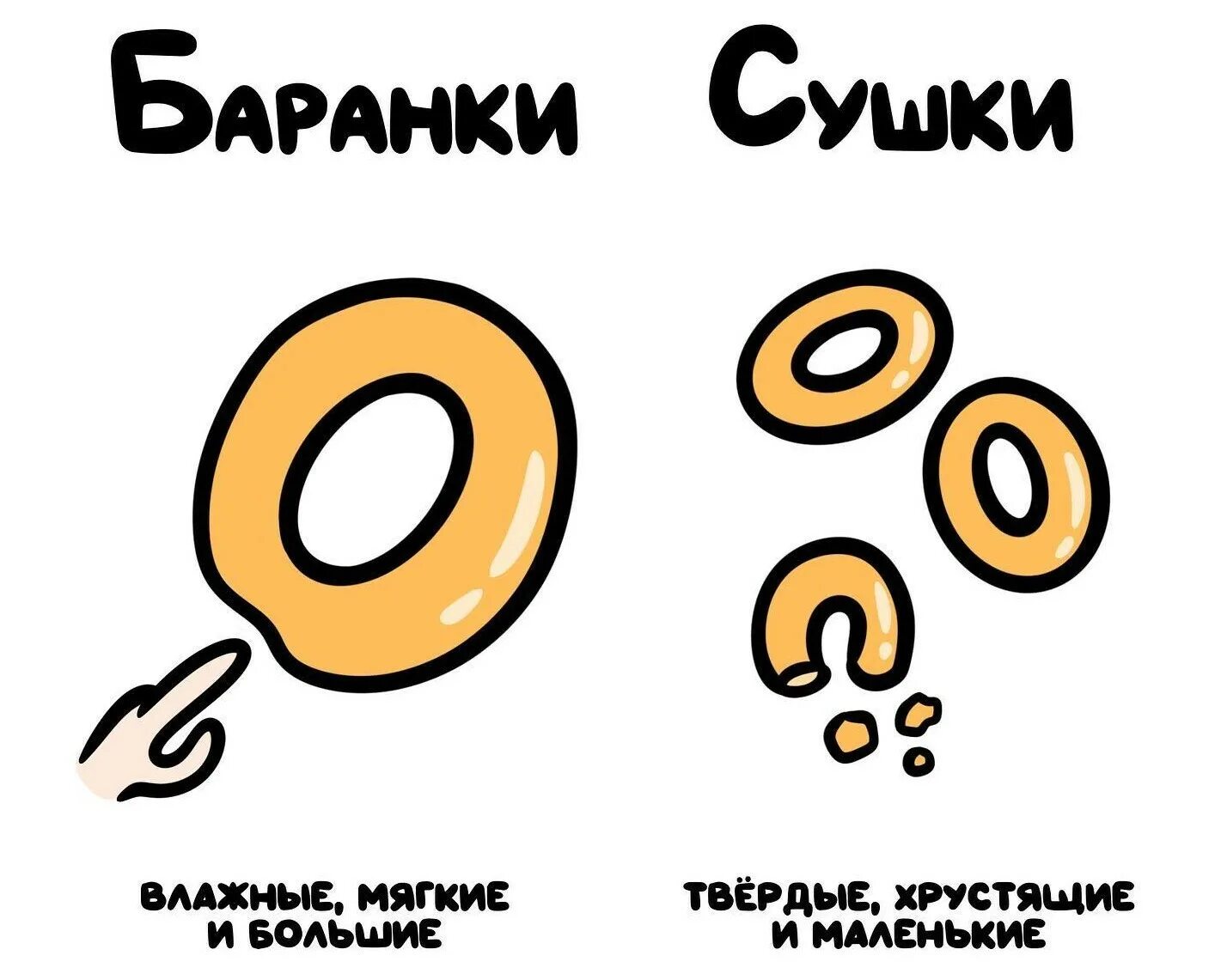 Гомологичные и аналогичные. Аналогичные органы. Аналогичные органы примеры. Гомологичные и аналогичные органы. Чем отличается от аналогичных.