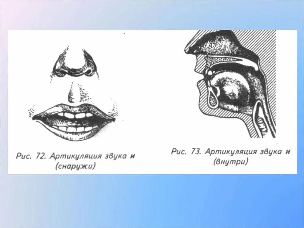 Артикуляция произношения звука и. Артикуляция звука с. Артикуляция гласного звука а. Схемы артикуляции звуков. Артикуляция звука ы.