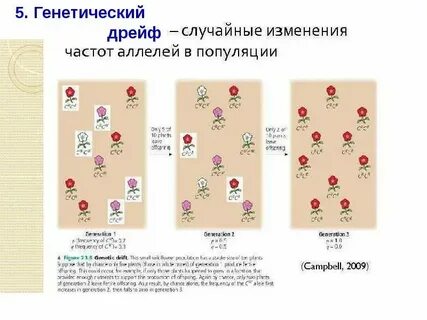 Случайное изменение генов это