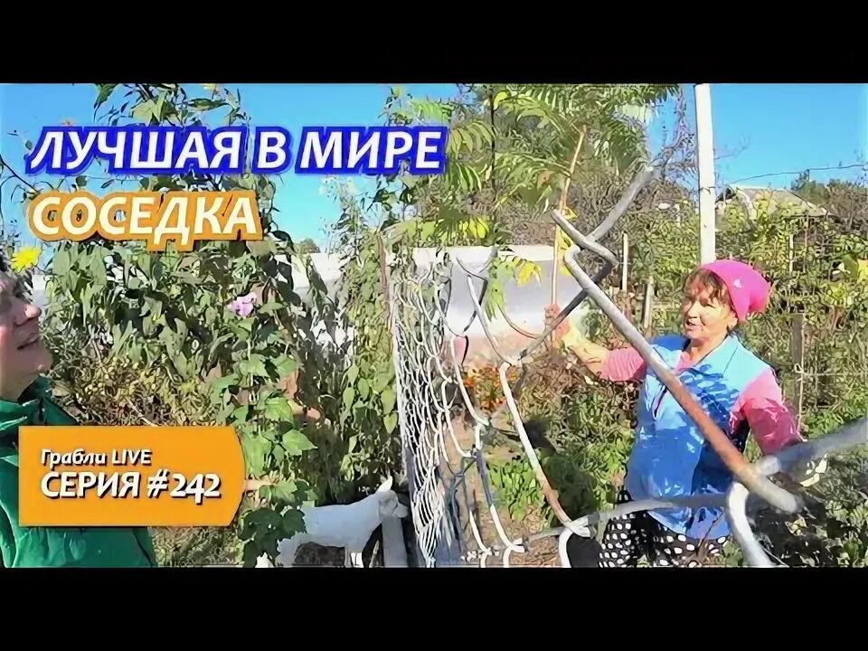 Грабли лайф дзен последнее видео. Грабли лайф дзен последнее видео. Грабли лайф дзен последнее видео. Грабли лайф дзентатьяна белахон. Грабли лайф дзен последнее видео.