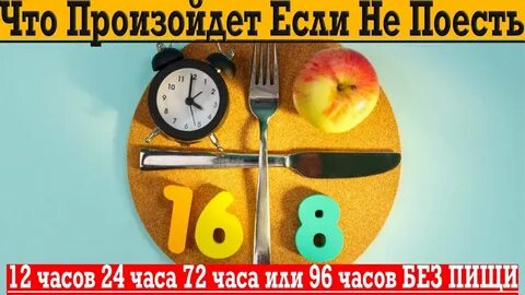 Диета на 16 часов