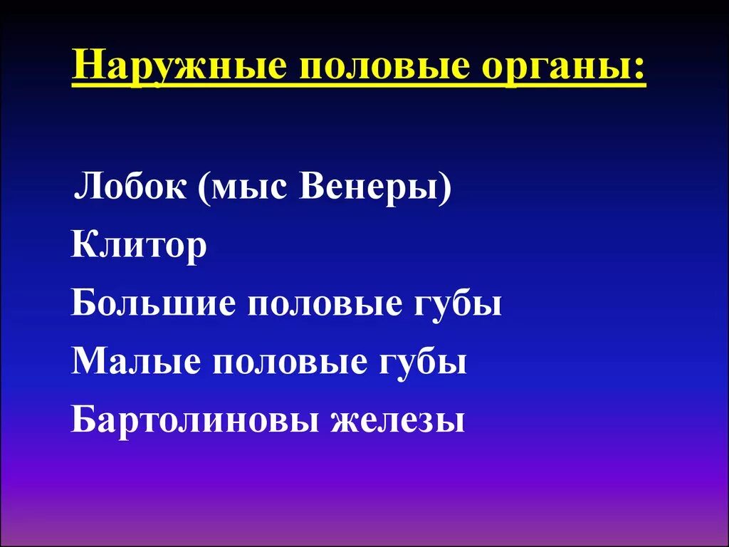 Женскими половыми органами являются. Наружные женские пол органы. Наружные половые органы лобок. Функции наружных женских половых органов. Наружные половые органы женщины строение.