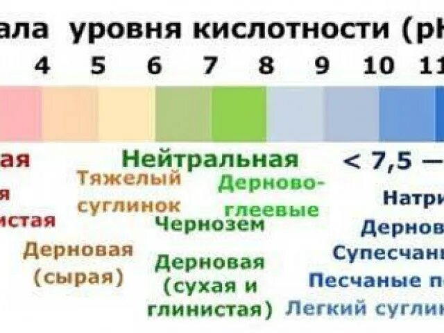 Томаты какая кислотность почвы. Кислотность почвы для растений таблица. шкала кислотности почвы. кислотность почвы для винограда. кислотность почвы таблица значений.