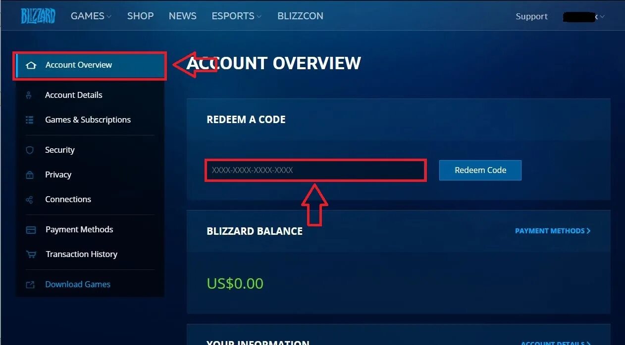 Blizzard ввести код