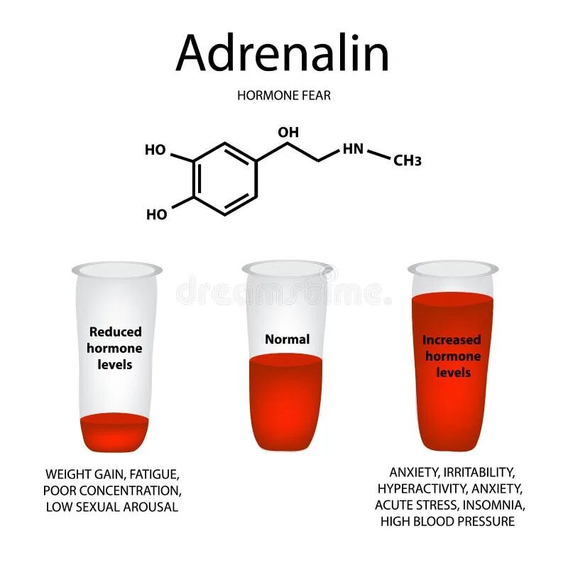 Adrenaline перевод