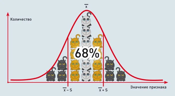 Статистика котов. Статистика и котики. Математическая статистика и котики. Статистика для котиков.