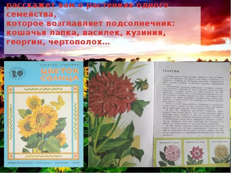 Рассказ цветок солнца. А.Смирнов «цветок солнца».. Солнце и цветы книга. Книга цветков Солнечная.